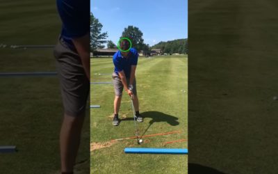 The Head Controls The Spine In Golf